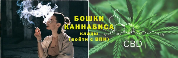 спайс Арсеньев