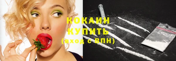 спайс Арсеньев
