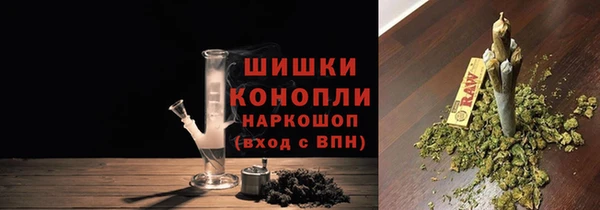 спайс Арсеньев