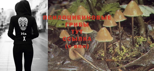 спайс Арсеньев