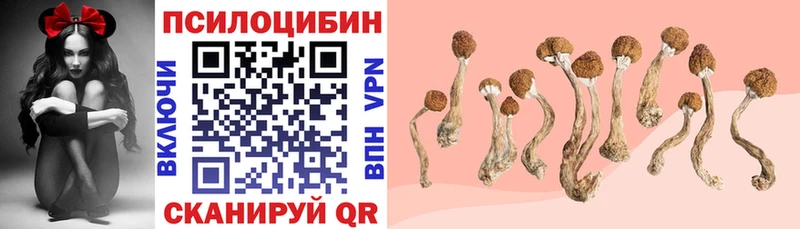 Галлюциногенные грибы мицелий  Саров 